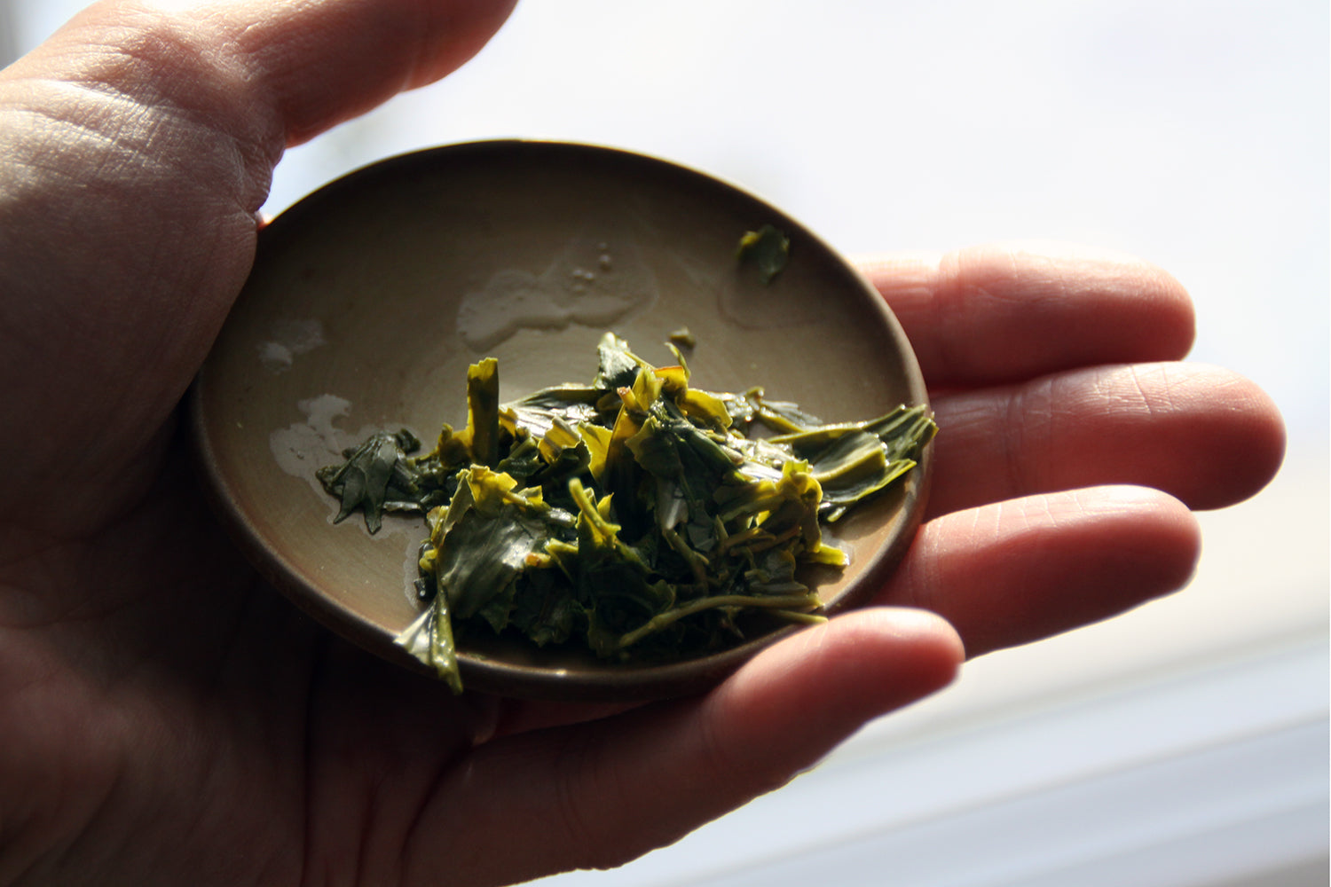 Feuilles de thé vert du Japon à la Maison de thé Cha Noir à Montréal