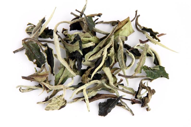 Pai Mu Tan, thé blanc de Chine